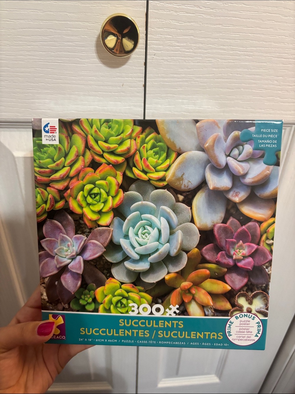300-Piece Succulents Puzzle